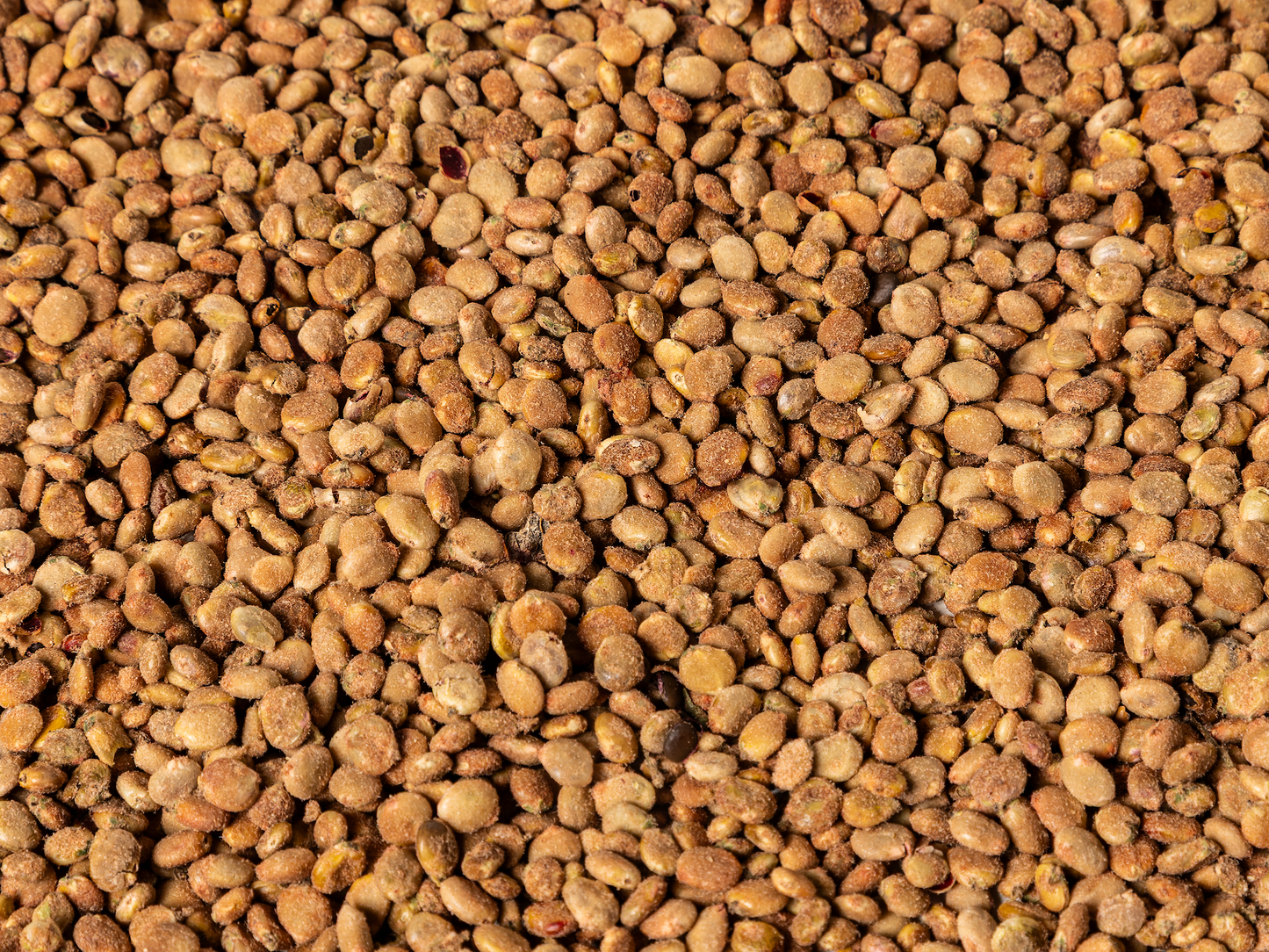 Whole Sumac Berries – 1 kg (2.2 lb)